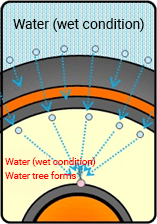 Illustration: Origin and spread of water tree phenomenon 3