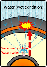 Illustration: Origin and spread of water tree phenomenon 4