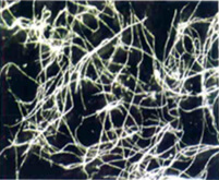 Photo: Insulating paper fiber   Average degree of polymerization: 1000