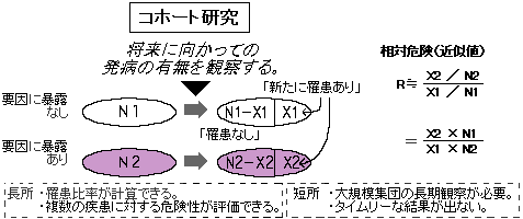 コホート研究
