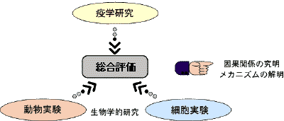 電磁界に関する調査研究