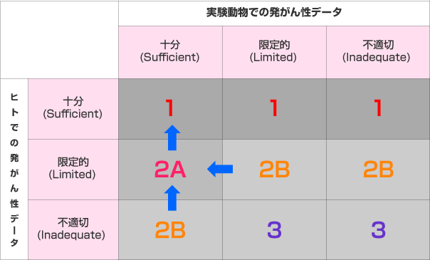 発がん性分類の例