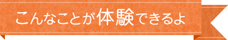 こんなことが体験できるよ
