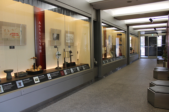 展示の様子