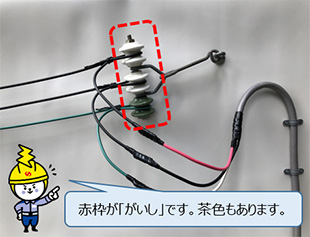 赤枠が「がいし」です。茶色もあります。