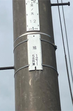 電柱に設置している白いプレートの写真