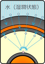 図：水ツリーの発生の伸展2