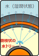 図：水ツリーの発生の伸展3