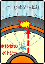 図：水ツリーの発生の伸展4